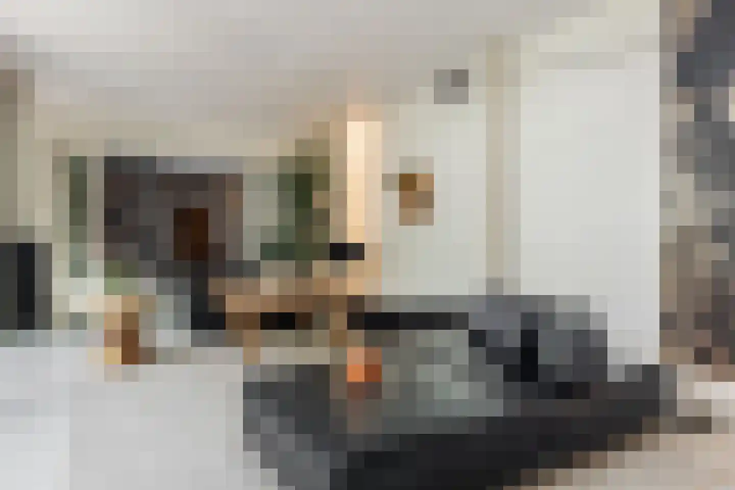 Nassaulaan 68 Haarlem thumbnail 16