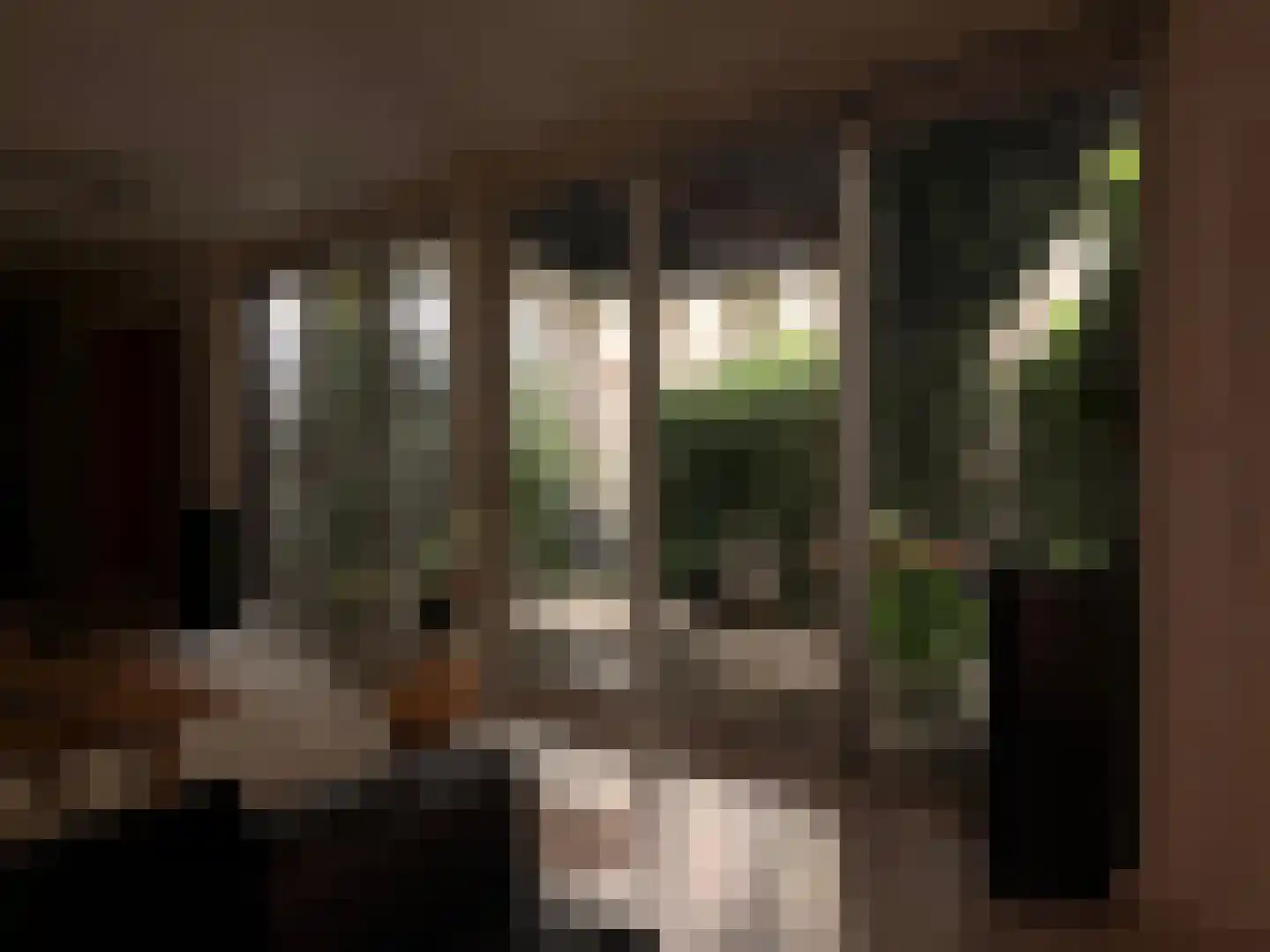 Nassaulaan 68 Haarlem thumbnail 23