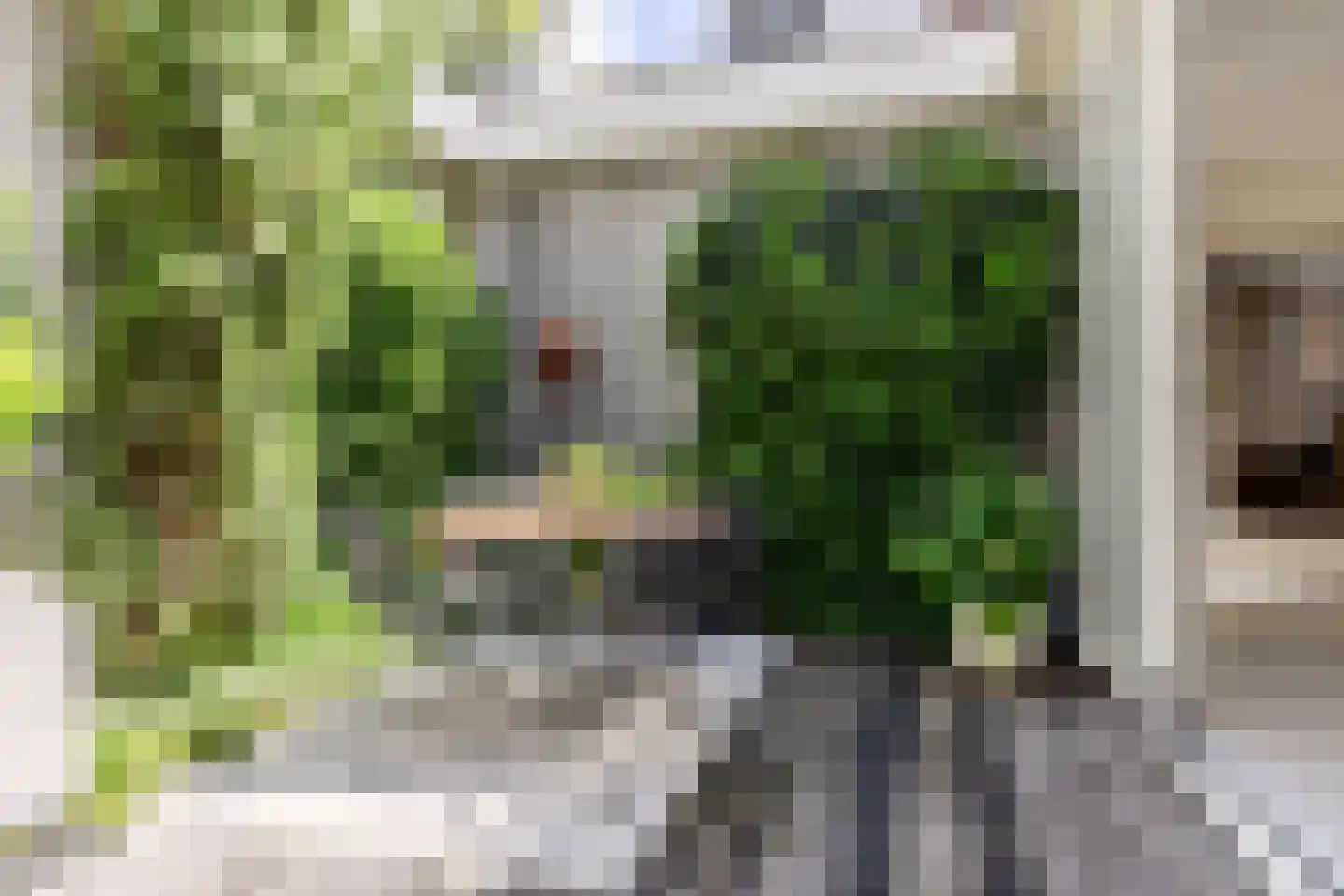 Nassaulaan 68 Haarlem thumbnail 25