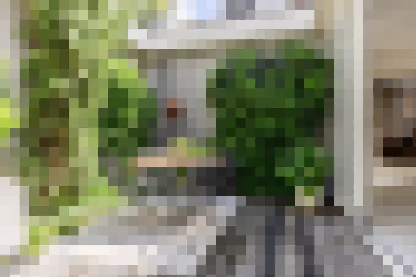 Nassaulaan 68 Haarlem thumbnail 25