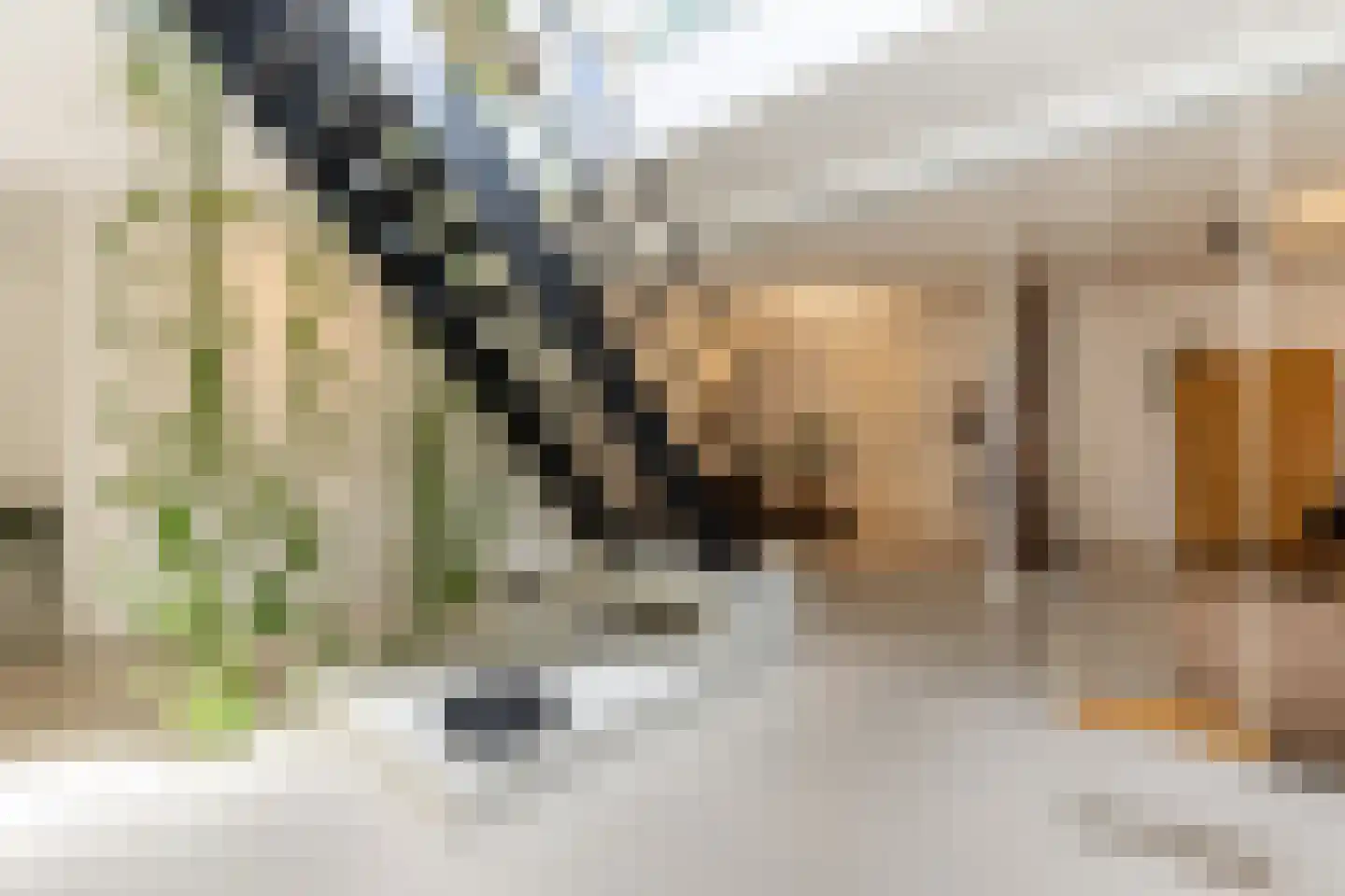 Nassaulaan 68 Haarlem thumbnail 29
