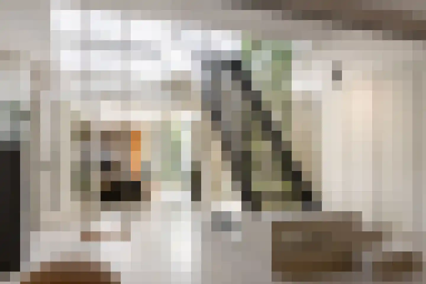 Nassaulaan 68 Haarlem thumbnail 33