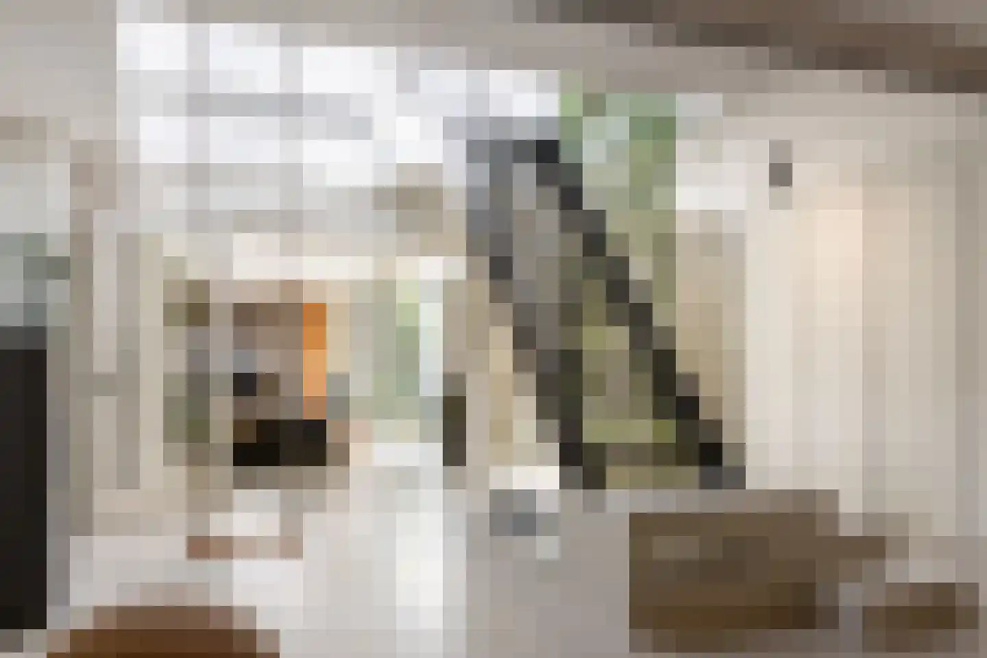 Nassaulaan 68 Haarlem thumbnail 33