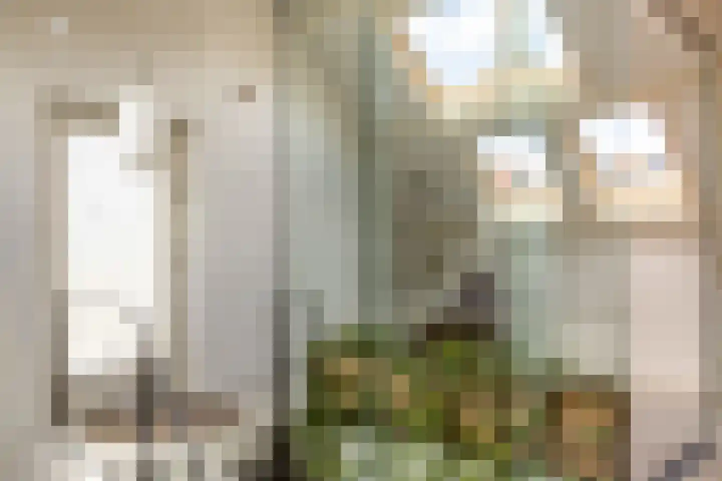 Nassaulaan 68 Haarlem thumbnail 34