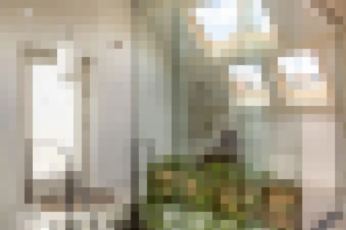 Nassaulaan 68 Haarlem thumbnail 34