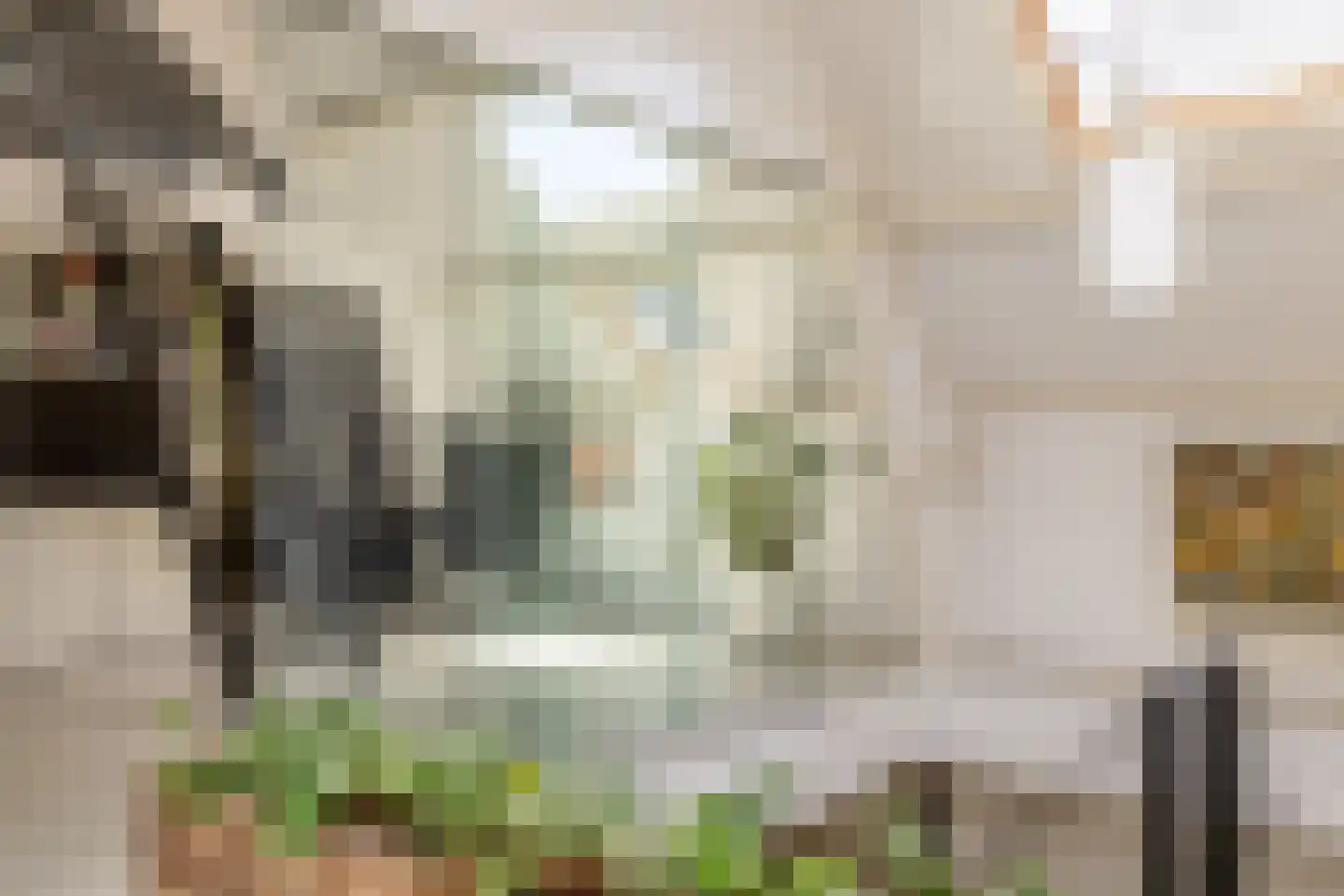 Nassaulaan 68 Haarlem thumbnail 35