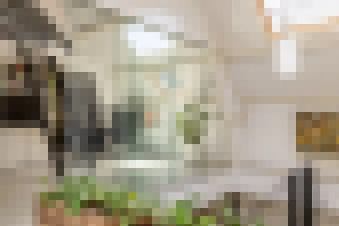 Nassaulaan 68 Haarlem thumbnail 35
