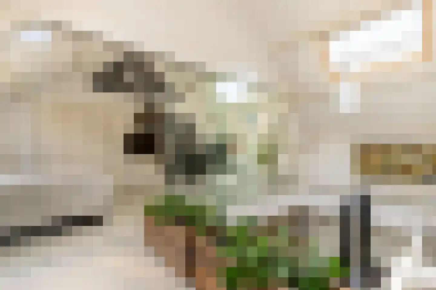 Nassaulaan 68 Haarlem thumbnail 36