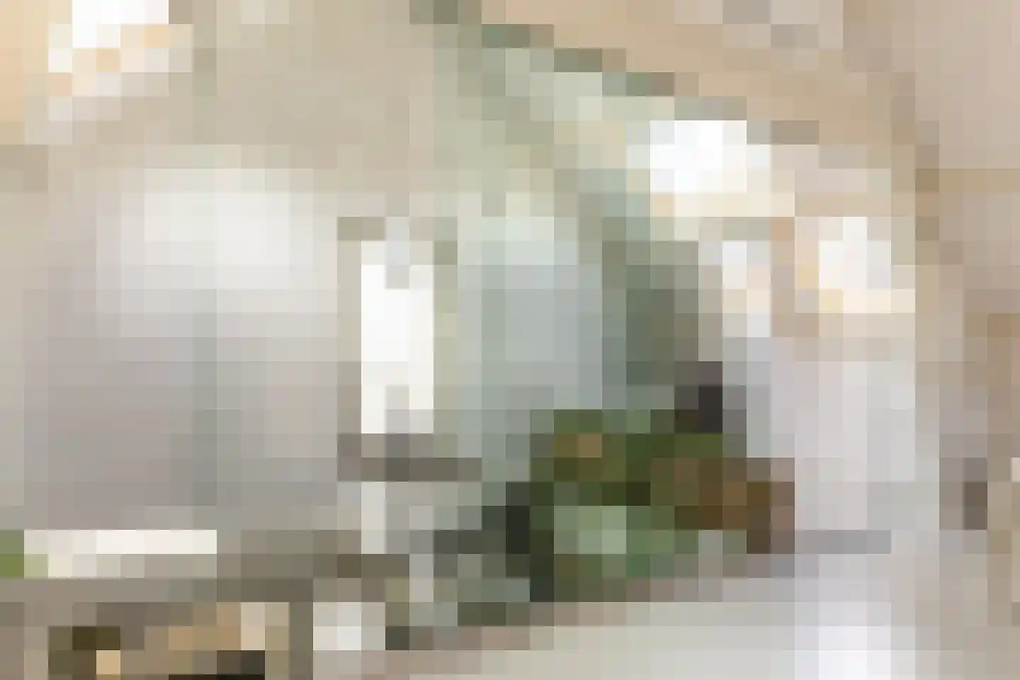 Nassaulaan 68 Haarlem thumbnail 37