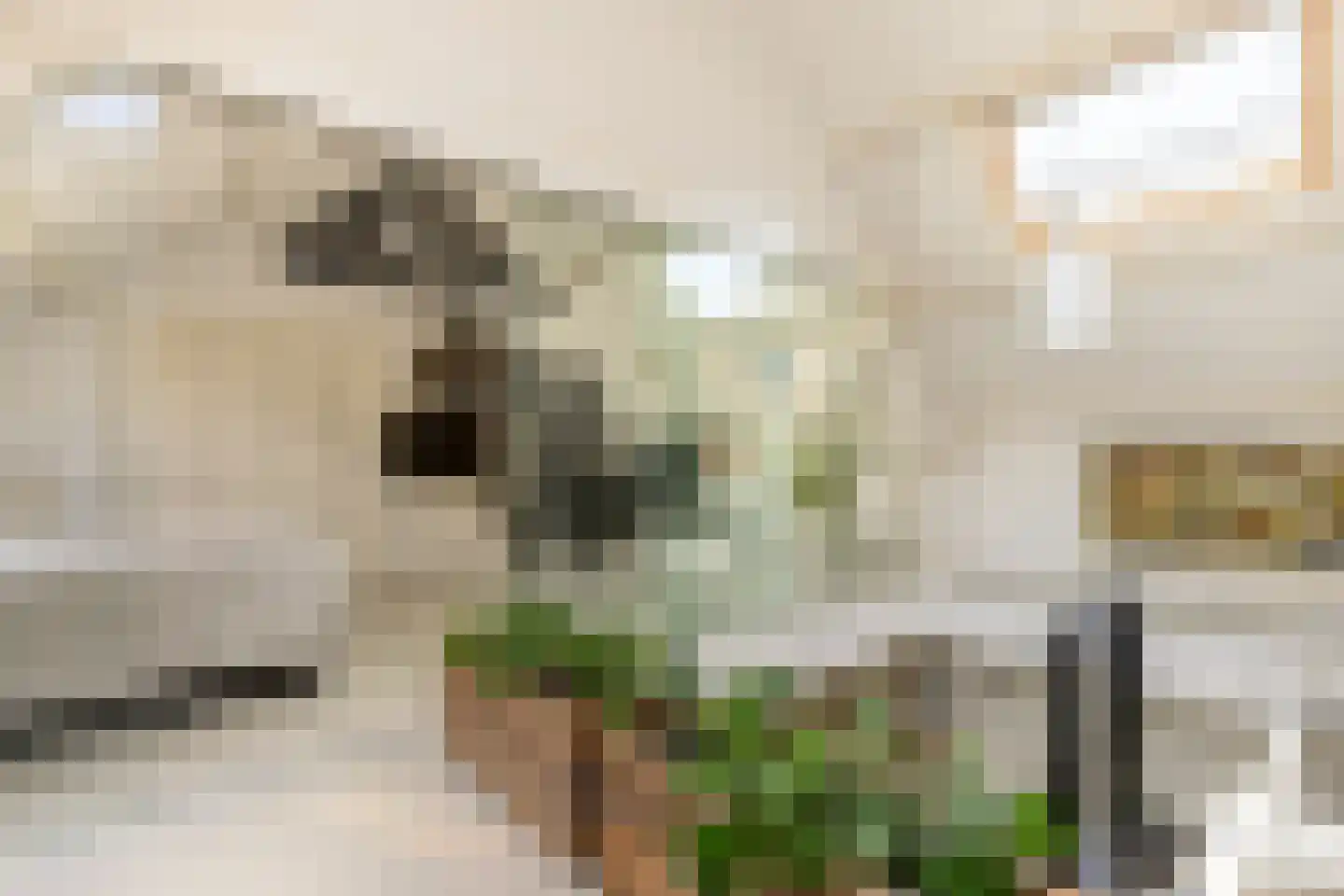 Nassaulaan 68 Haarlem thumbnail 4