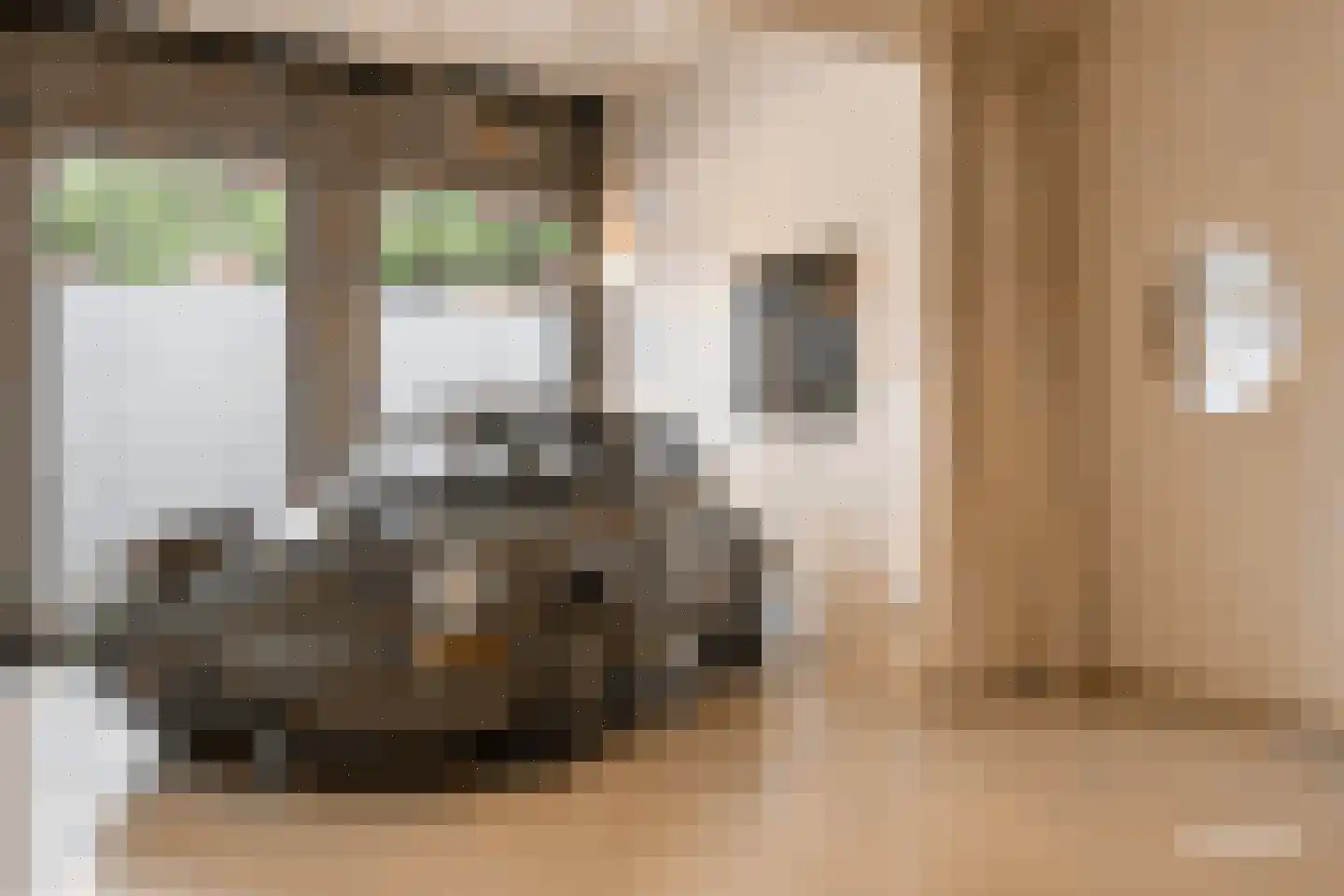 Nassaulaan 68 Haarlem thumbnail 7