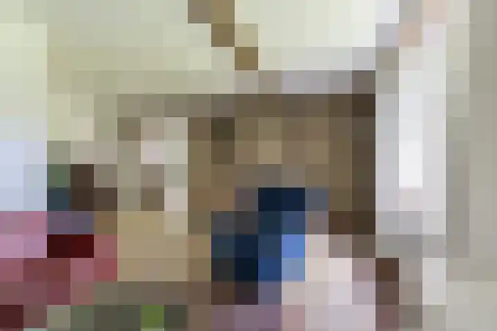 Nassaulaan 68 Rijen thumbnail 10