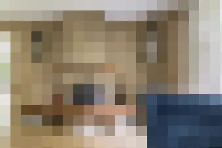 Nassaulaan 68 Rijen thumbnail 11