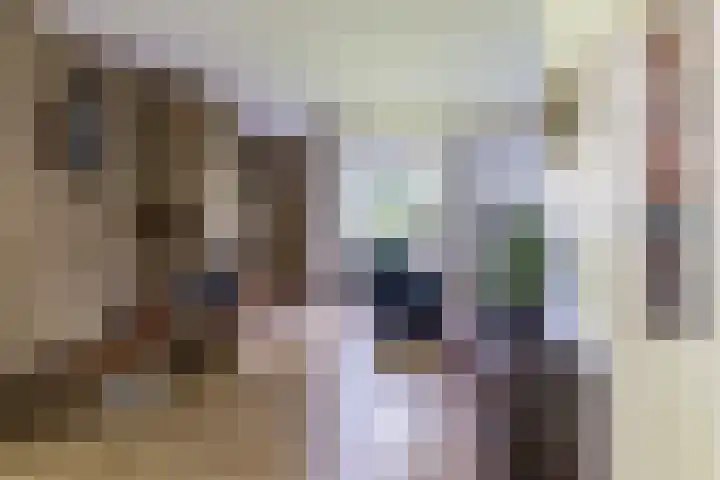 Nassaulaan 68 Rijen thumbnail 12