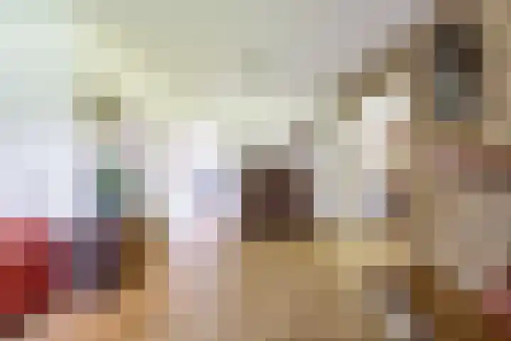 Nassaulaan 68 Rijen thumbnail 13