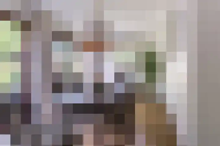 Nassaulaan 68 Rijen thumbnail 14
