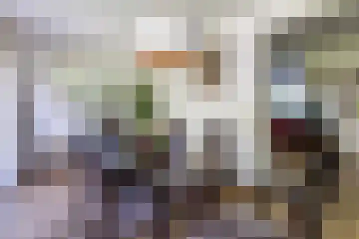 Nassaulaan 68 Rijen thumbnail 15
