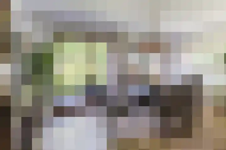 Nassaulaan 68 Rijen thumbnail 17