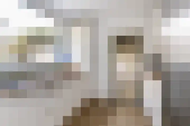 Nassaulaan 68 Rijen thumbnail 18
