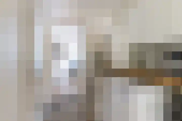 Nassaulaan 68 Rijen thumbnail 19