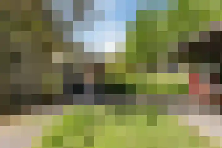 Nassaulaan 68 Rijen thumbnail 20