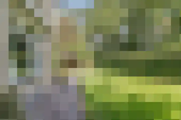 Nassaulaan 68 Rijen thumbnail 21