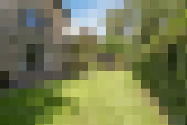 Nassaulaan 68 Rijen thumbnail 22