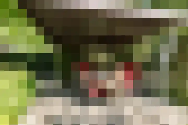 Nassaulaan 68 Rijen thumbnail 23