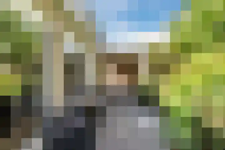 Nassaulaan 68 Rijen thumbnail 24