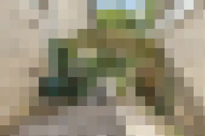 Nassaulaan 68 Rijen thumbnail 27
