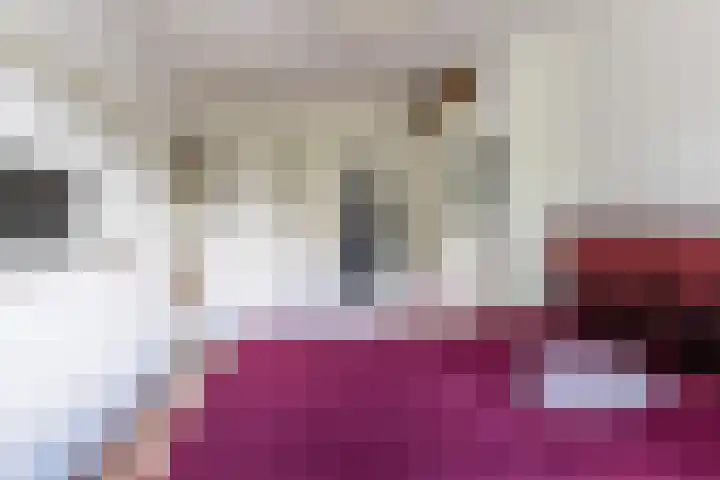 Nassaulaan 68 Rijen thumbnail 28