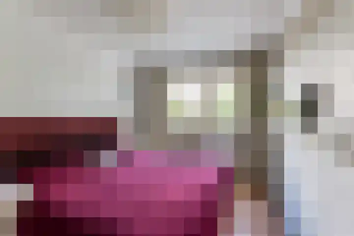 Nassaulaan 68 Rijen thumbnail 29