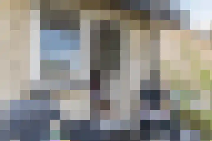 Nassaulaan 68 Rijen thumbnail 30