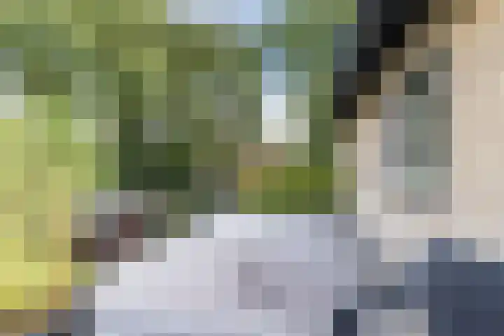 Nassaulaan 68 Rijen thumbnail 31