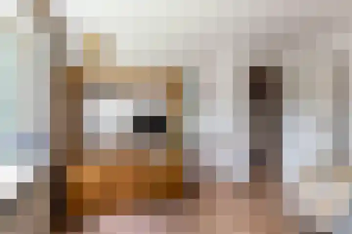 Nassaulaan 68 Rijen thumbnail 33