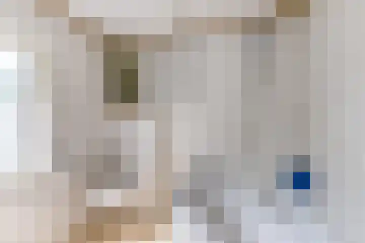 Nassaulaan 68 Rijen thumbnail 39