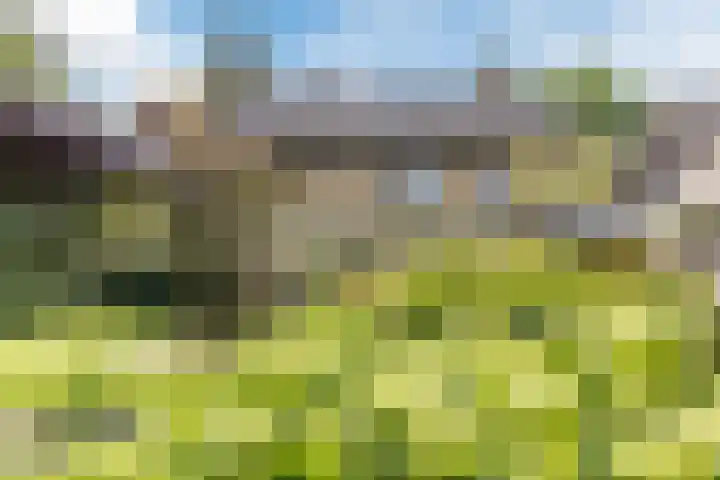 Nassaulaan 68 Rijen thumbnail 4