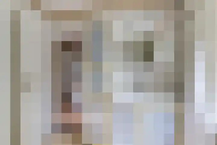 Nassaulaan 68 Rijen thumbnail 40