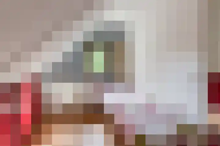 Nassaulaan 68 Rijen thumbnail 43