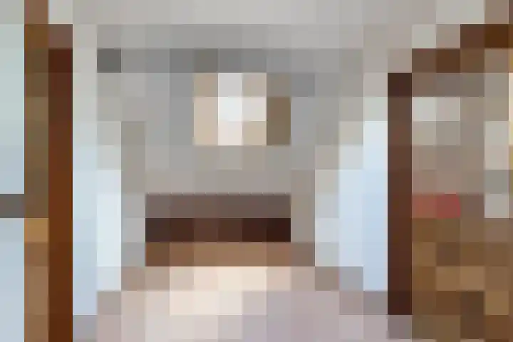 Nassaulaan 68 Rijen thumbnail 45