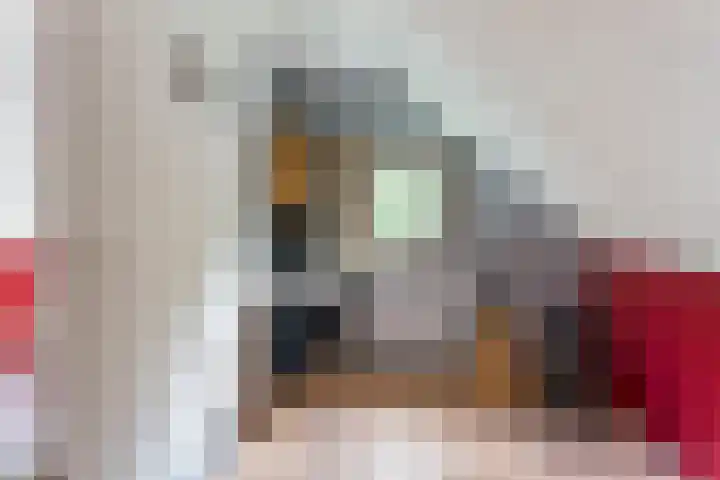 Nassaulaan 68 Rijen thumbnail 46