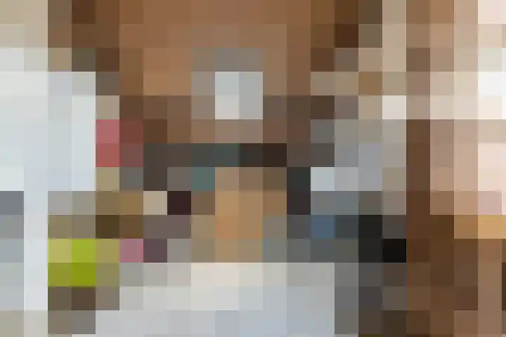 Nassaulaan 68 Rijen thumbnail 47
