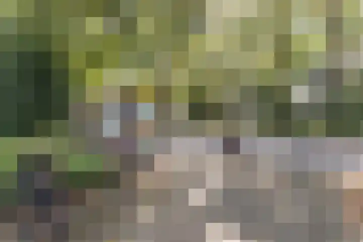 Nassaulaan 68 Rijen thumbnail 49