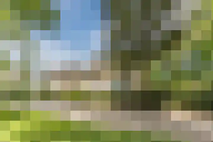 Nassaulaan 68 Rijen thumbnail 51