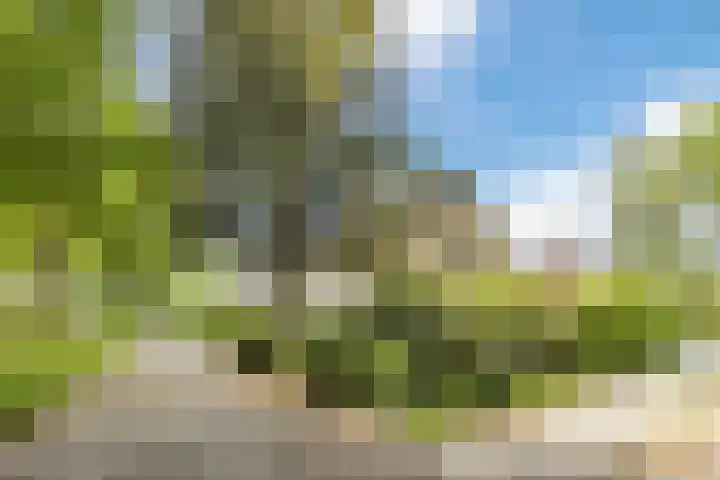 Nassaulaan 68 Rijen thumbnail 53