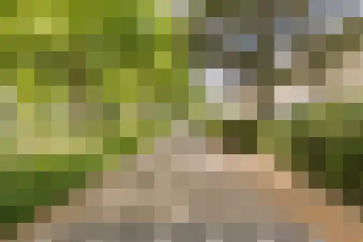 Nassaulaan 68 Rijen thumbnail 54
