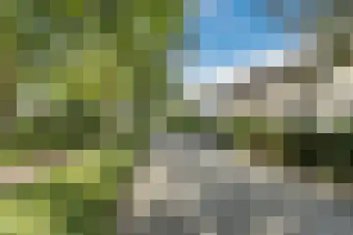 Nassaulaan 68 Rijen thumbnail 55