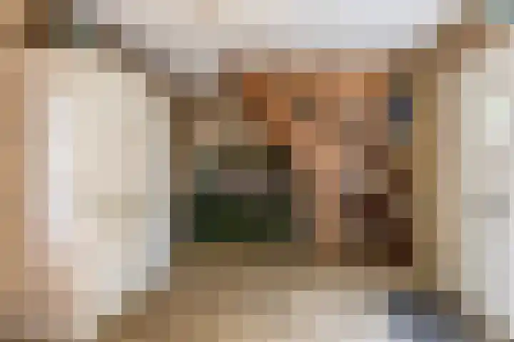Nassaulaan 68 Rijen thumbnail 7