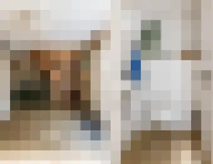 Nassaulaan 68 Rijen thumbnail 8