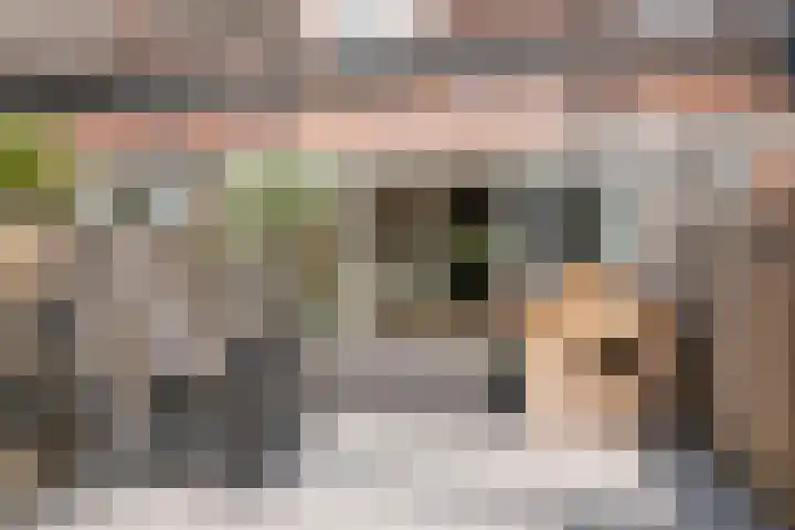 Nassaulaan 68 Vlaardingen thumbnail 17
